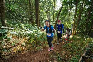 BIB: 2429
                            <button type="button" onclick="openModal(22462418)" class="btn btn-primary btn-sm float-right btn-popup" data-toggle="modal" data-target=".modal-high-quality">
                        <i class="fas fa-shopping-cart"></i> Add to Cart
                    </button>
                                            <button type="button" onclick="isThisMe(22462418, true)" class="btn btn-success btn-sm float-right btn-popup btn-isme hidden" data-toggle="tooltip" data-placement="bottom" title="นี่คือรูปของคุณใช่ไหม คลิกที่นี่เพื่อเอาเข้าอัลบั้ม">
                        <i class="fas fa-plus"></i> Add to album
                    </button>
                    <button type="button" onclick="isThisMe(22462418, false)" class="btn btn-warning btn-sm float-right btn-popup btn-isnotme hidden">
                        <i class="fas fa-ban"></i> Remove from album
                    </button>